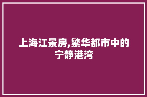 上海江景房,繁华都市中的宁静港湾