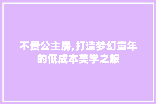 不贵公主房,打造梦幻童年的低成本美学之旅