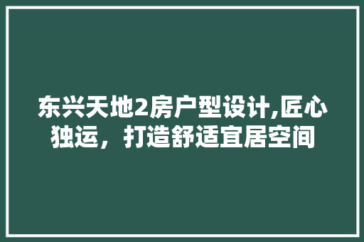 东兴天地2房户型设计,匠心独运，打造舒适宜居空间 景观设计