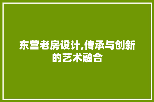 东营老房设计,传承与创新的艺术融合