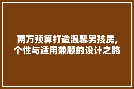 两万预算打造温馨男孩房,个性与适用兼顾的设计之路 装修材料