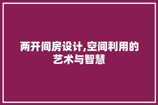 两开间房设计,空间利用的艺术与智慧