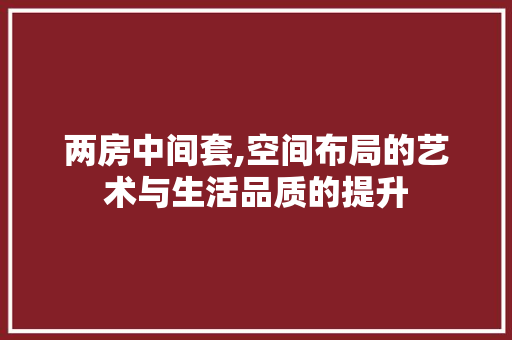 两房中间套,空间布局的艺术与生活品质的提升 装修材料