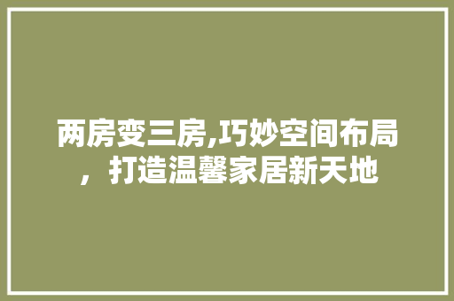 两房变三房,巧妙空间布局，打造温馨家居新天地 建筑设计