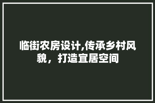 临街农房设计,传承乡村风貌，打造宜居空间