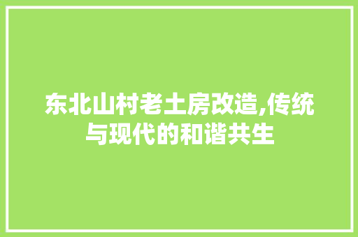 东北山村老土房改造,传统与现代的和谐共生