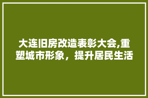 大连旧房改造表彰大会,重塑城市形象，提升居民生活品质