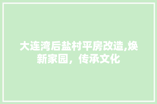 大连湾后盐村平房改造,焕新家园，传承文化 景观设计