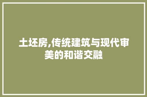 土坯房,传统建筑与现代审美的和谐交融