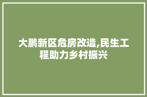 大鹏新区危房改造,民生工程助力乡村振兴