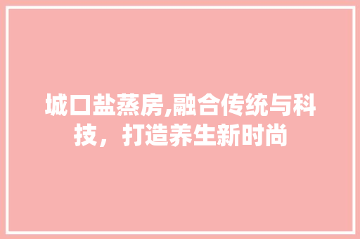 城口盐蒸房,融合传统与科技，打造养生新时尚