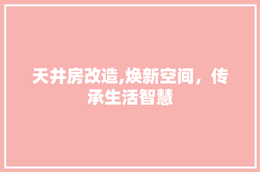 天井房改造,焕新空间，传承生活智慧