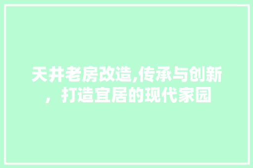 天井老房改造,传承与创新，打造宜居的现代家园