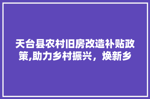 天台县农村旧房改造补贴政策,助力乡村振兴，焕新乡村风貌