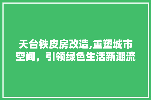 天台铁皮房改造,重塑城市空间，引领绿色生活新潮流
