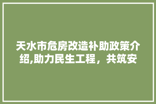 天水市危房改造补助政策介绍,助力民生工程，共筑安居乐业新家园