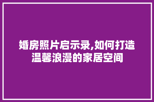 婚房照片启示录,如何打造温馨浪漫的家居空间 隔断设计