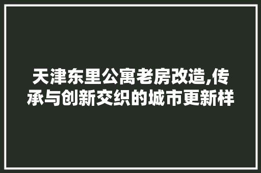 天津东里公寓老房改造,传承与创新交织的城市更新样本