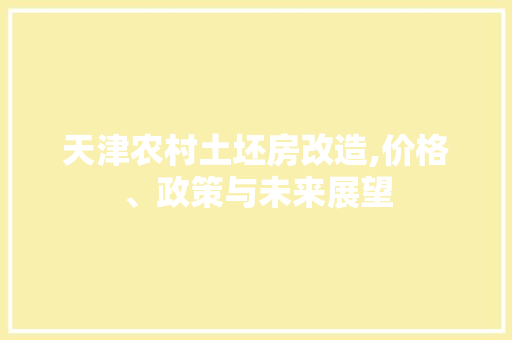 天津农村土坯房改造,价格、政策与未来展望