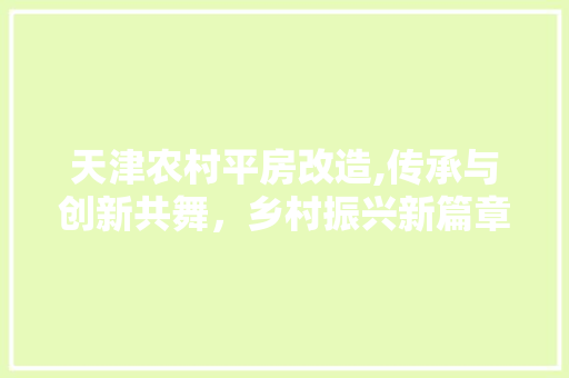 天津农村平房改造,传承与创新共舞，乡村振兴新篇章