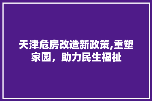 天津危房改造新政策,重塑家园，助力民生福祉