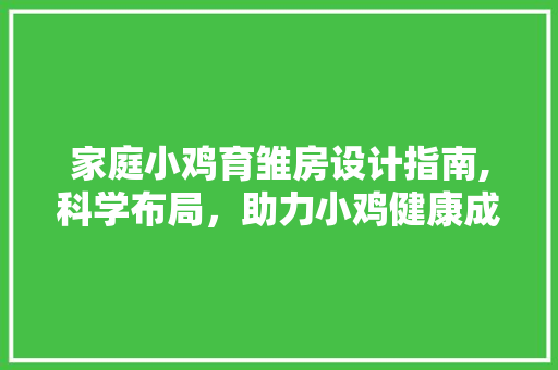 家庭小鸡育雏房设计指南,科学布局，助力小鸡健康成长