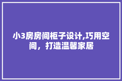 小3房房间柜子设计,巧用空间，打造温馨家居 隔断设计