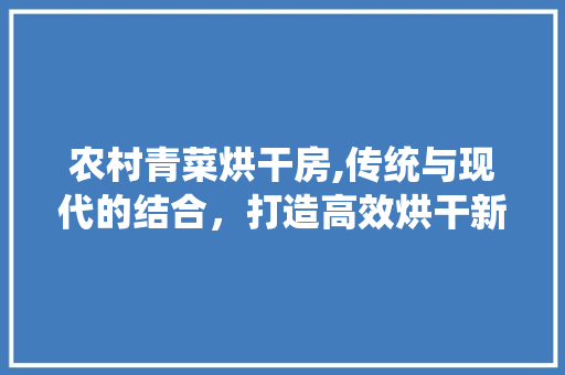 农村青菜烘干房,传统与现代的结合，打造高效烘干新篇章 庭院装修