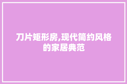 刀片矩形房,现代简约风格的家居典范 装修攻略
