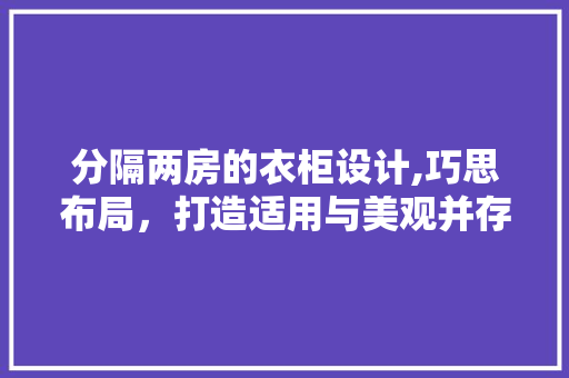 分隔两房的衣柜设计,巧思布局，打造适用与美观并存的家居空间 装修攻略
