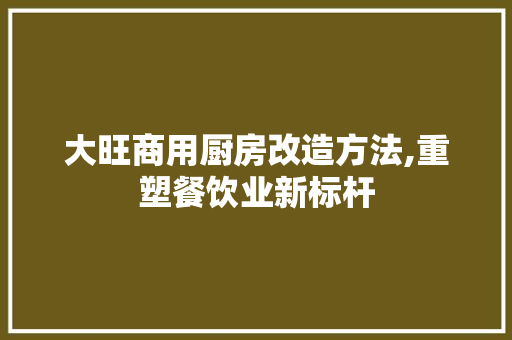 大旺商用厨房改造方法,重塑餐饮业新标杆