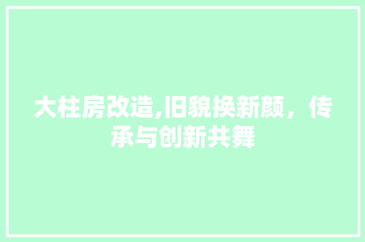 大柱房改造,旧貌换新颜，传承与创新共舞
