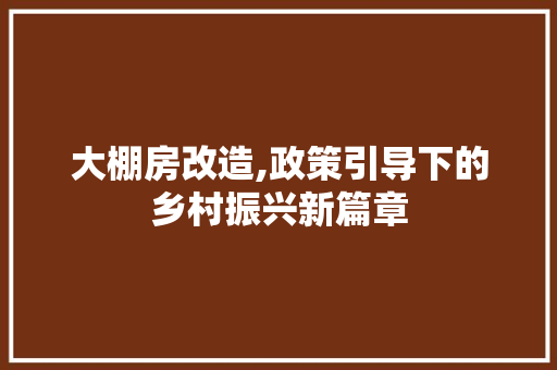 大棚房改造,政策引导下的乡村振兴新篇章