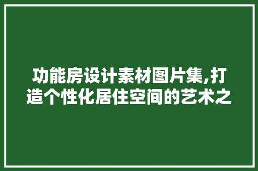 功能房设计素材图片集,打造个性化居住空间的艺术之旅
