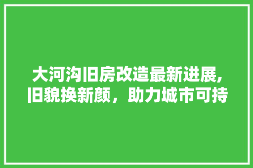 大河沟旧房改造最新进展,旧貌换新颜，助力城市可持续发展