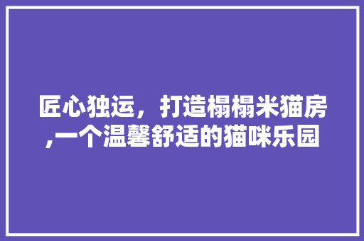 匠心独运，打造榻榻米猫房,一个温馨舒适的猫咪乐园 景观设计