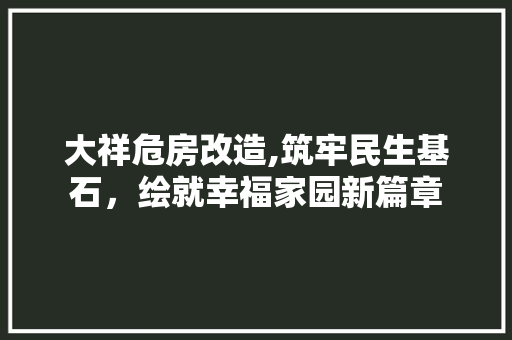 大祥危房改造,筑牢民生基石，绘就幸福家园新篇章