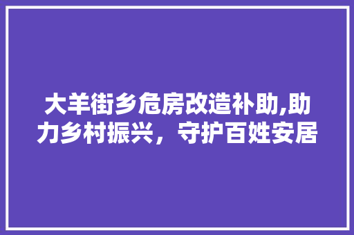 大羊街乡危房改造补助,助力乡村振兴，守护百姓安居乐业