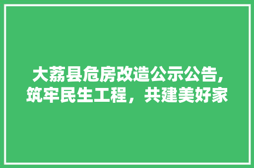 大荔县危房改造公示公告,筑牢民生工程，共建美好家园