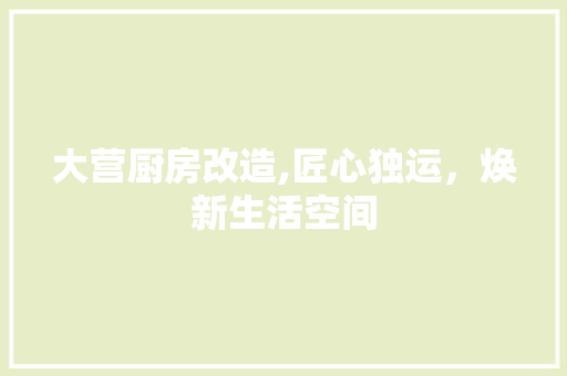 大营厨房改造,匠心独运，焕新生活空间