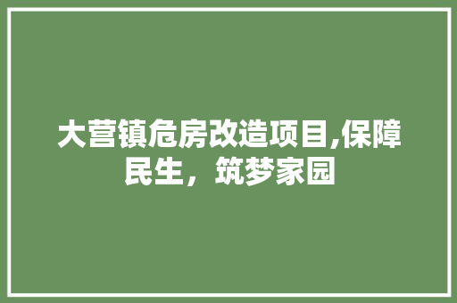 大营镇危房改造项目,保障民生，筑梦家园