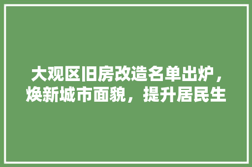 大观区旧房改造名单出炉，焕新城市面貌，提升居民生活品质