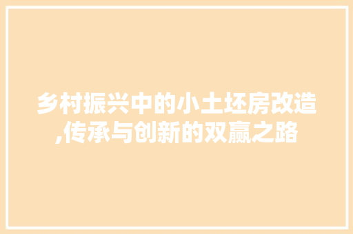 乡村振兴中的小土坯房改造,传承与创新的双赢之路