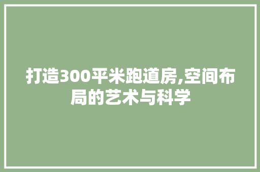打造300平米跑道房,空间布局的艺术与科学