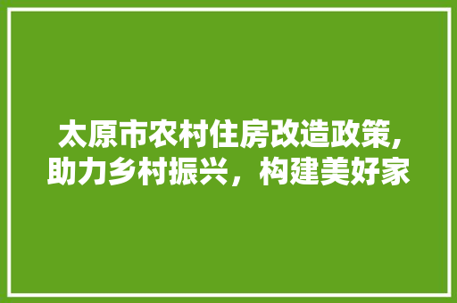 太原市农村住房改造政策,助力乡村振兴，构建美好家园