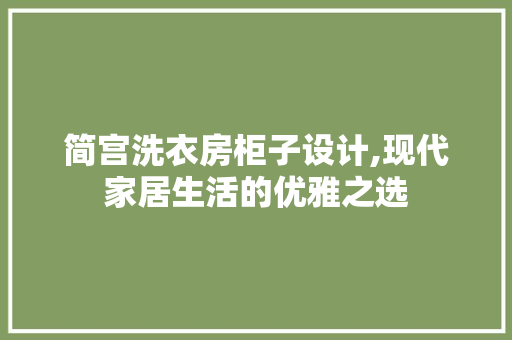 简宫洗衣房柜子设计,现代家居生活的优雅之选
