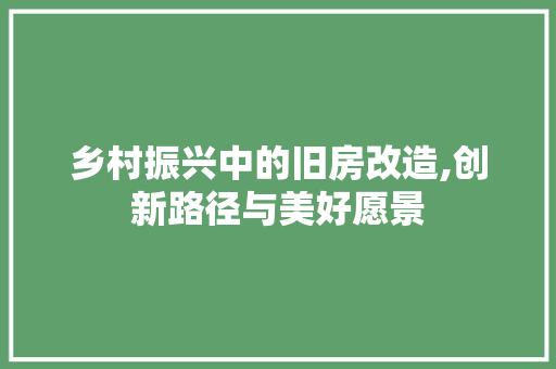 乡村振兴中的旧房改造,创新路径与美好愿景