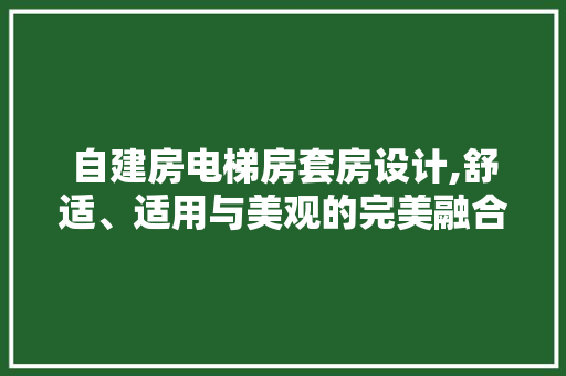自建房电梯房套房设计,舒适、适用与美观的完美融合