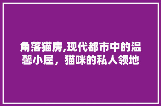 角落猫房,现代都市中的温馨小屋，猫咪的私人领地 门窗装修