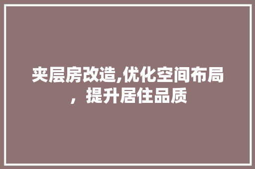 夹层房改造,优化空间布局，提升居住品质